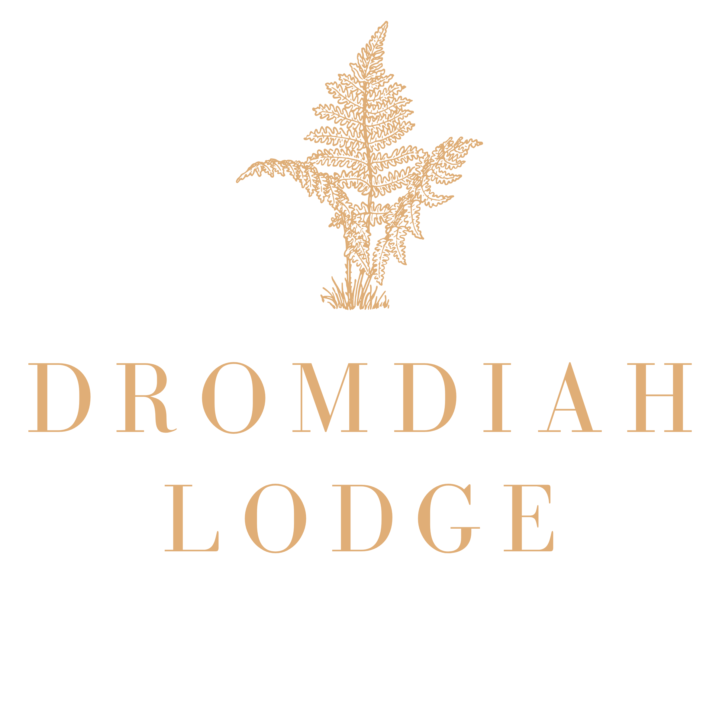 DROMDIAH LODGE - Inspire | Dream | Create